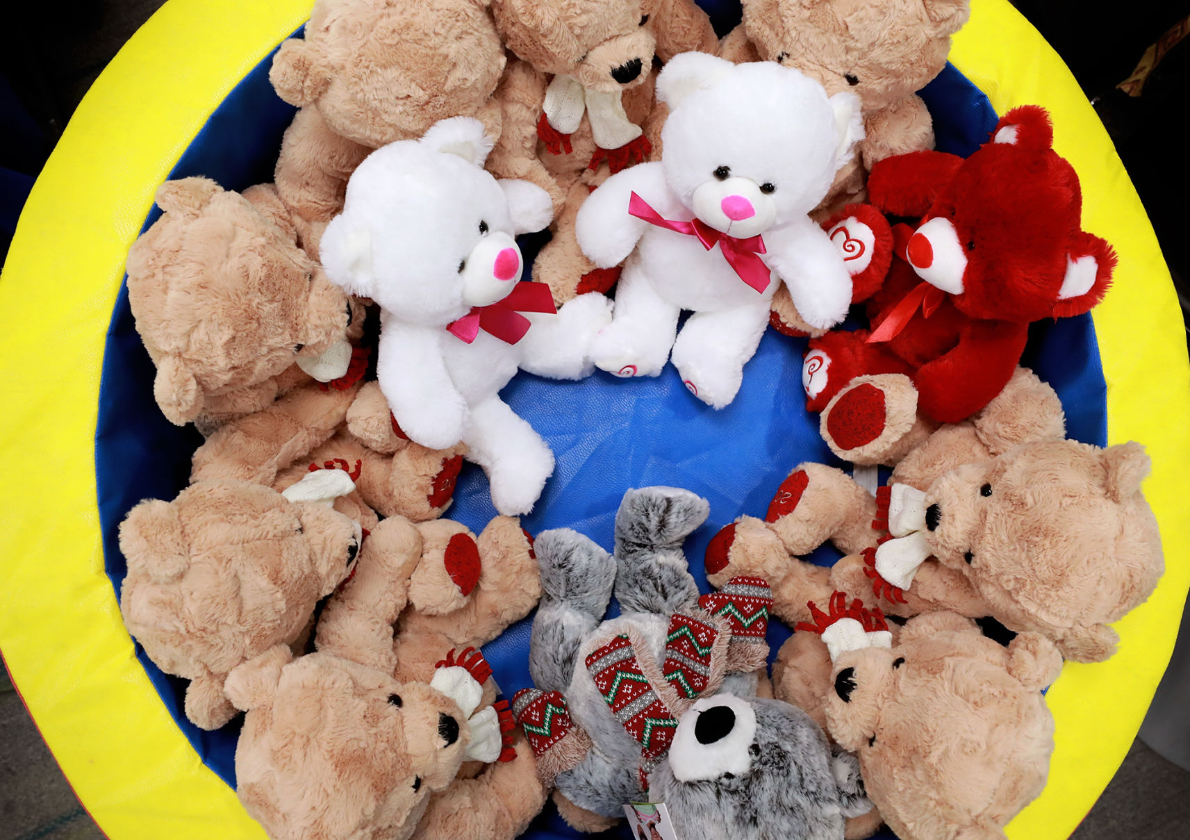 021220_BearFair005_bjs.JPG